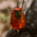 Apart-hotel Saltic &