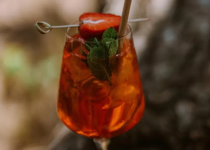 Апарт-отель Saltic &